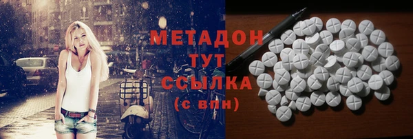 прущие грибы Алексеевка