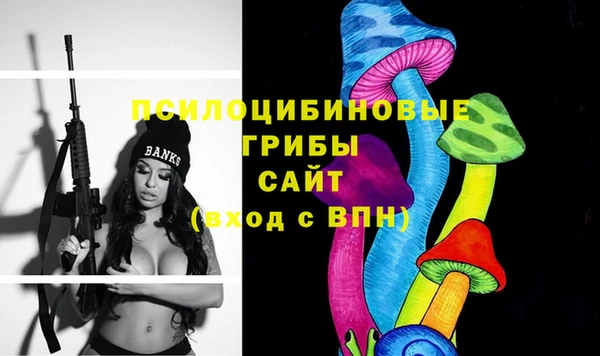 герыч Алексин
