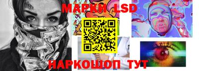 СК Новозыбков