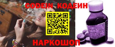СК Новозыбков