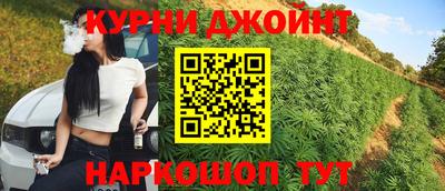 СК Новозыбков